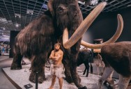 Archeologists Find 400,000 Year Old Carved Mammoth Tusks That Are The Oldest Examples Of Carved Ivory