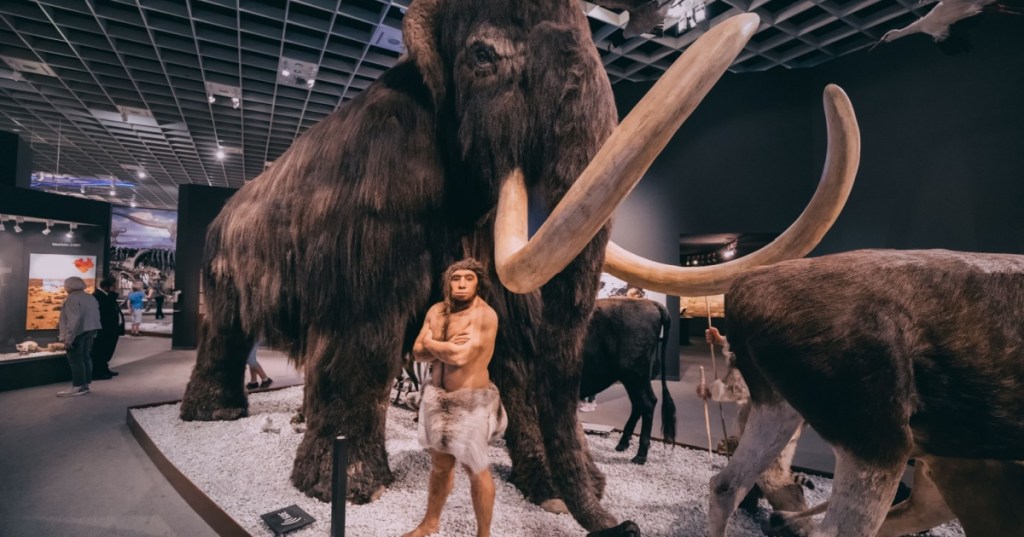 Mammoth next to ancient human ancestor