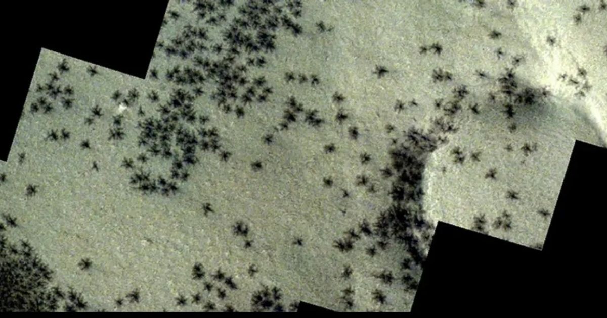 Spiders on Mars