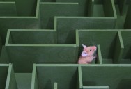 Results Of New Study Shows That Memories Physically Move In The Brains Of Mice