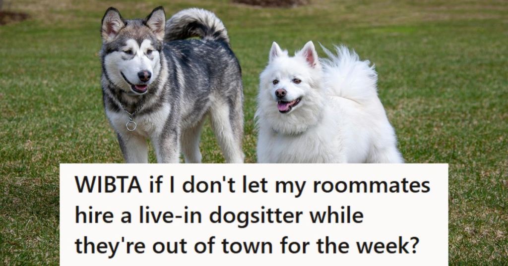 Two dogs standing in the middle of the backyard