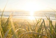 Why One Third Of This Paradise Island’s Residents Have Applied For A World-First Visa To Leave Its Shores Forever