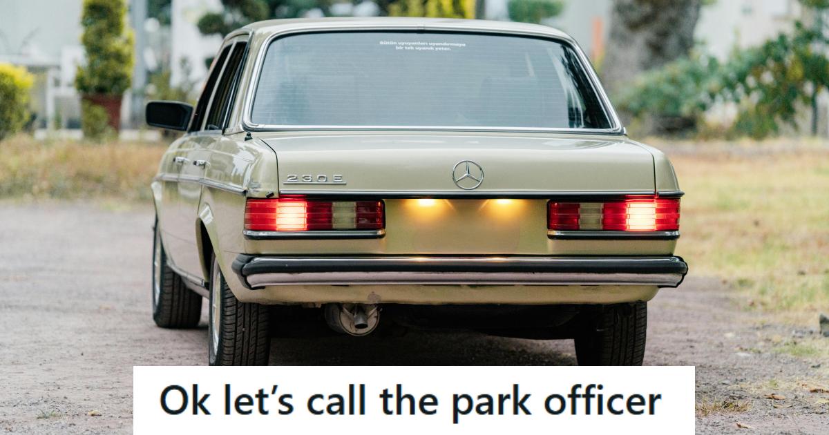 Older model Mercedes illegally parked on the grass