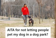 People Kept Trying To Pet Her Rescue Dog At The Dog Park, And When She Warned Them That It Bites, They Blamed Her