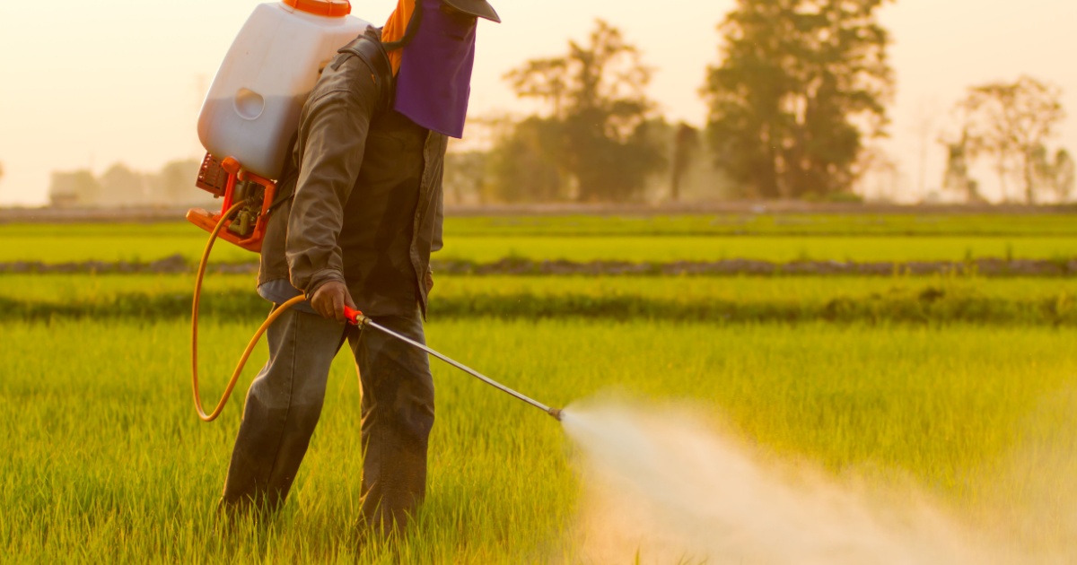 Spraying pesticides on grass