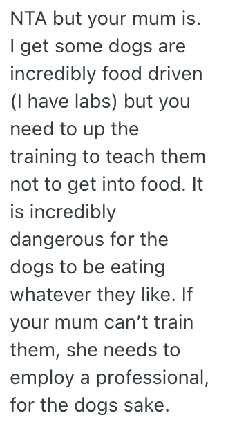 Screenshot 2025 08 03 at 8.06.55 AM Moms Wild Dogs Dont Know How To Behave, So They Dont Want Them Coming On A Family Vacation