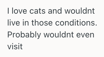 Screenshot 2025 08 08 at 11.41.09 AM Woman Wanted To Buy A Home And Live With Her Boyfriend, But Now Shes Thinking Twice Because Of His Cat