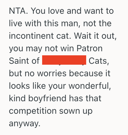 Screenshot 2025 08 08 at 11.42.53 AM Woman Wanted To Buy A Home And Live With Her Boyfriend, But Now Shes Thinking Twice Because Of His Cat