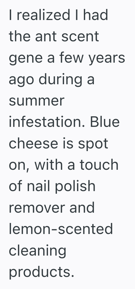 Screenshot 2025 08 08 at 12.57.45 PM He Caught A Whiff Of A Strange Odor, So One Man Used His Superhuman Smell To Track Down A Lone Ant In Their Bathroom