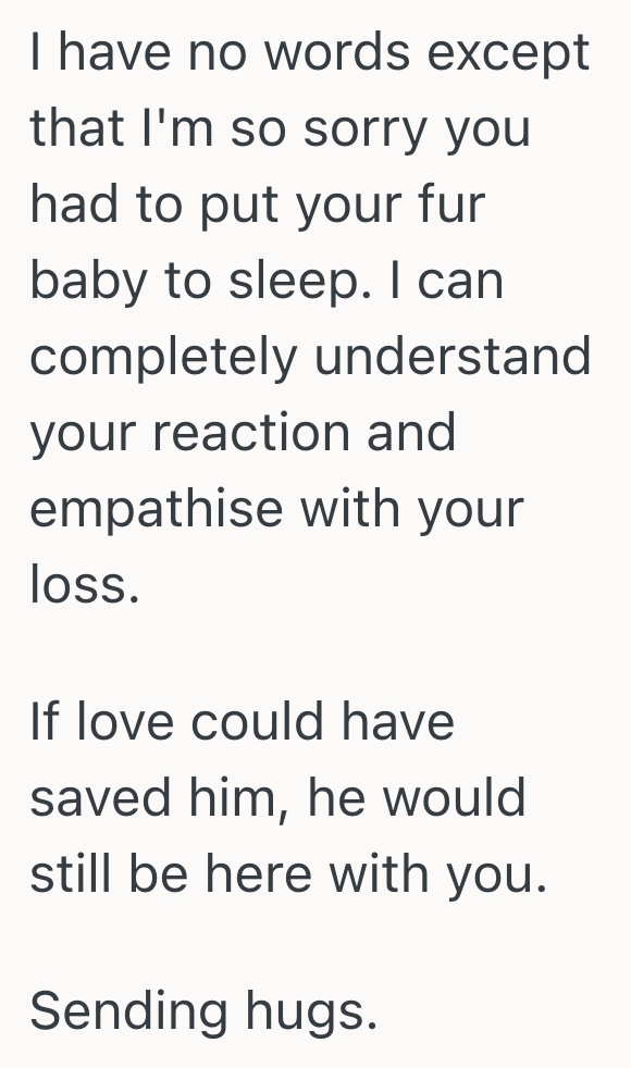 Screenshot 2025 08 09 at 7.18.16 PM HOA Needs Homeowners To Clear Off Their Patio So It Can Be Painted, But They Refused Because They Have To Take Their Terminally Ill Dog To The Vet
