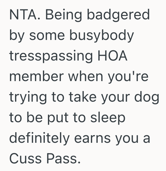 Screenshot 2025 08 09 at 7.19.34 PM HOA Needs Homeowners To Clear Off Their Patio So It Can Be Painted, But They Refused Because They Have To Take Their Terminally Ill Dog To The Vet