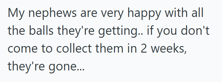 Screenshot 2025 08 10 182526 His Neighbors Kids Kept Throwing Soccer Balls In His Yard, So He Stopped Giving The Balls Back Until The Next Season