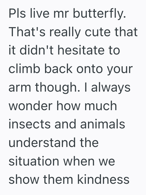 Screenshot 2025 08 10 at 2.30.16 PM A Fragile Butterfly Landed On A Student’s Arm During A Bus Ride, So She Turned Her Trip Home Into A Heartwarming Rescue Mission
