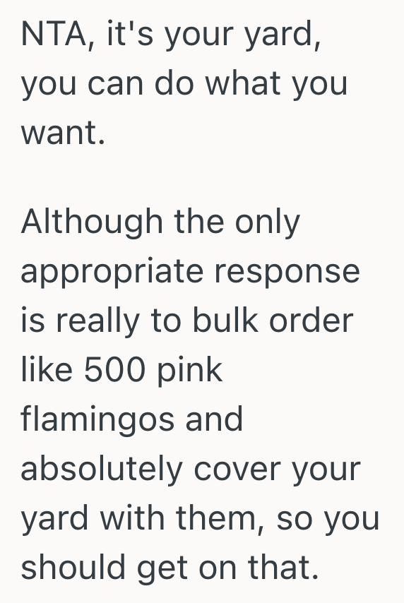 Screenshot 2025 08 10 at 3.41.15 PM Homeowner Doesnt Live In An HOA, So She Plans To Ignore Her Neighbors Request To Take Down Her Yard Flamingos