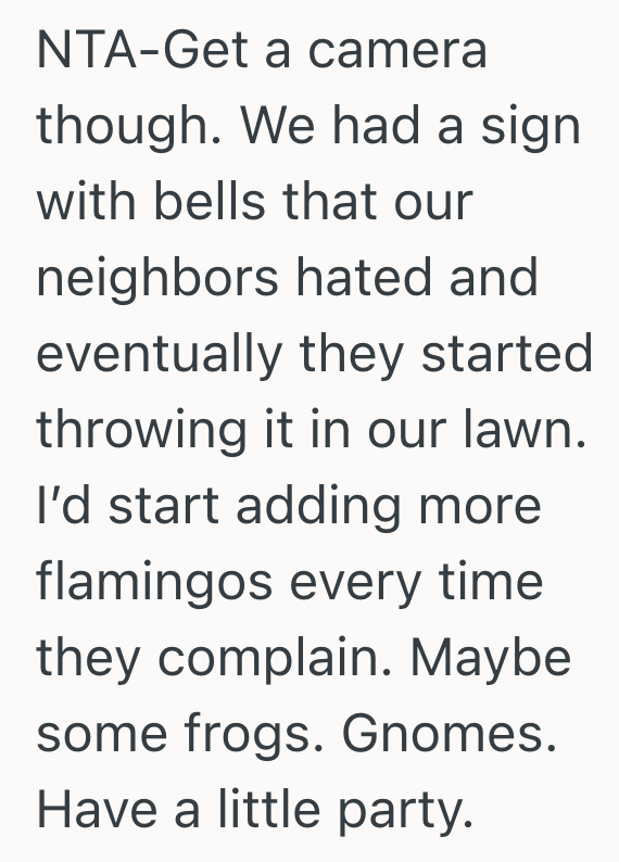 Screenshot 2025 08 10 at 3.42.15 PM Homeowner Doesnt Live In An HOA, So She Plans To Ignore Her Neighbors Request To Take Down Her Yard Flamingos