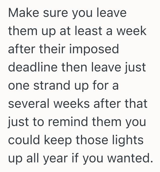 Screenshot 2025 08 10 at 4.11.33 PM HOA Is Upset By Homeowners Christmas Lights, But This Homeowner Isnt Part Of The HOA