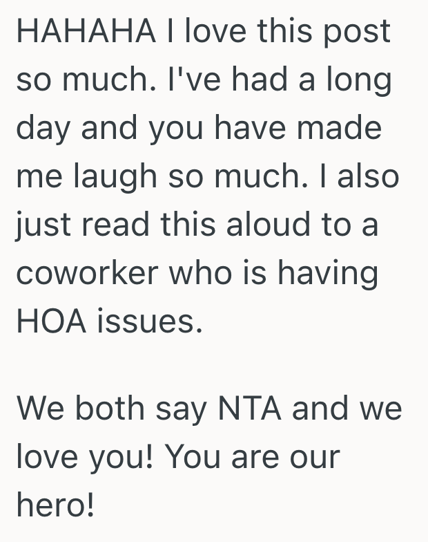 Screenshot 2025 08 10 at 4.12.14 PM HOA Is Upset By Homeowners Christmas Lights, But This Homeowner Isnt Part Of The HOA