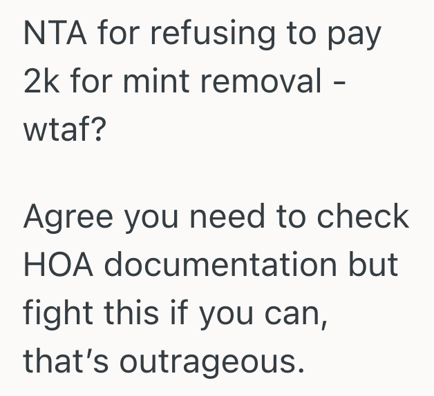 Screenshot 2025 08 10 at 6.05.16 PM HOA Hires Landscaping Crew To Dig Up A Herb And Vegetable Garden, And They Expect The Homeowner To Pay The Bill