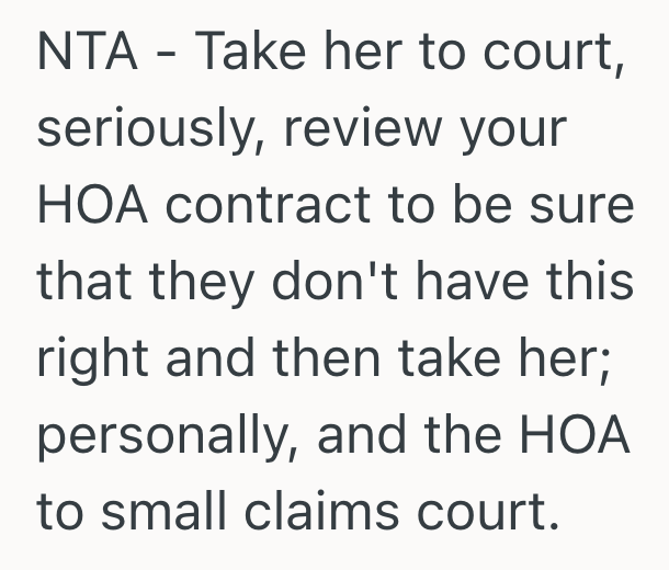 Screenshot 2025 08 10 at 6.05.27 PM HOA Hires Landscaping Crew To Dig Up A Herb And Vegetable Garden, And They Expect The Homeowner To Pay The Bill