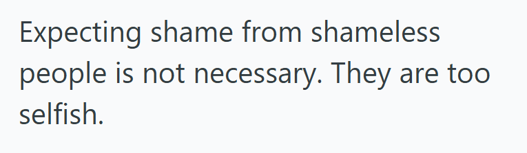 Screenshot 2025 08 12 172331 Woman Needed To Park In A Handicapped Parking Spot To Help Her Grandma, But Someone Else Took The Last One