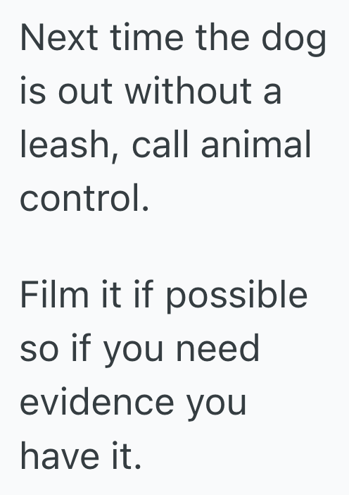 Screenshot 2025 08 12 at 4.54.53 PM Homeowner Was Tired Of His Neighbor’s Dangerous Dog And Messy Habits, So He Returned The Favor In The Most Petty Way Possible