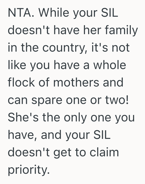 Screenshot 2025 08 14 at 10.00.12 PM Pregnant Womans Mom Is Planning To Help Her Out Before, During And After The Birth Of Her First Child, But Her Pregnant Sister In Law Wants Her Mom To Help Her Too