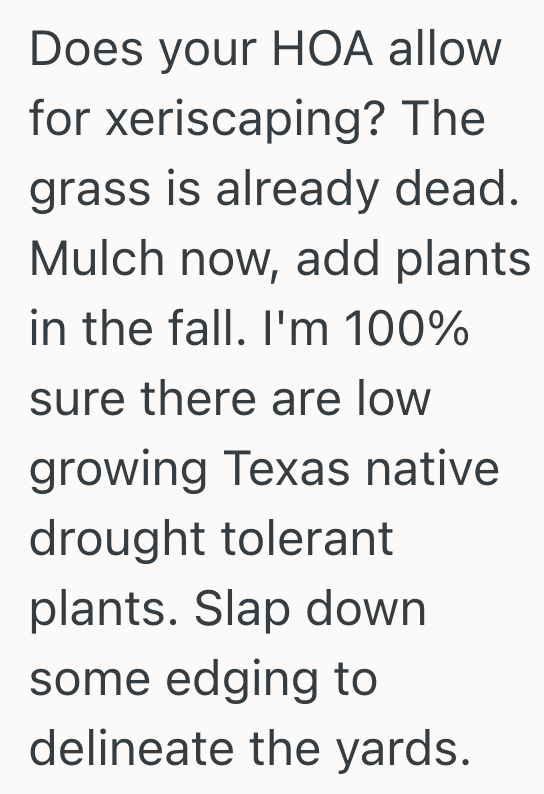 Screenshot 2025 08 14 at 5.21.14 PM HOA Sends Homeowner Letter About Their Struggling Grass, But The Homeowner Isnt Sure What To Do Since The New Neighbor Caused This Problem
