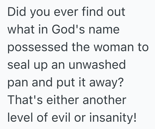 Screenshot 2025 08 20 at 10.08.51 AM Her Boyfriends Mom Told Her She Would Clean Up The Kitchen, But A Month Later, She Realized Her Roasting Pan Was Ruined