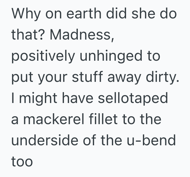 Screenshot 2025 08 20 at 10.09.09 AM Her Boyfriends Mom Told Her She Would Clean Up The Kitchen, But A Month Later, She Realized Her Roasting Pan Was Ruined