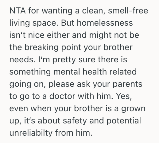 Screenshot 2025 08 21 at 1.13.32 PM Young Man Was Fed Up With His Older Brother’s Weird And Unpleasant Behavior, So He Tried To Convince Their Mother To Let Him Go
