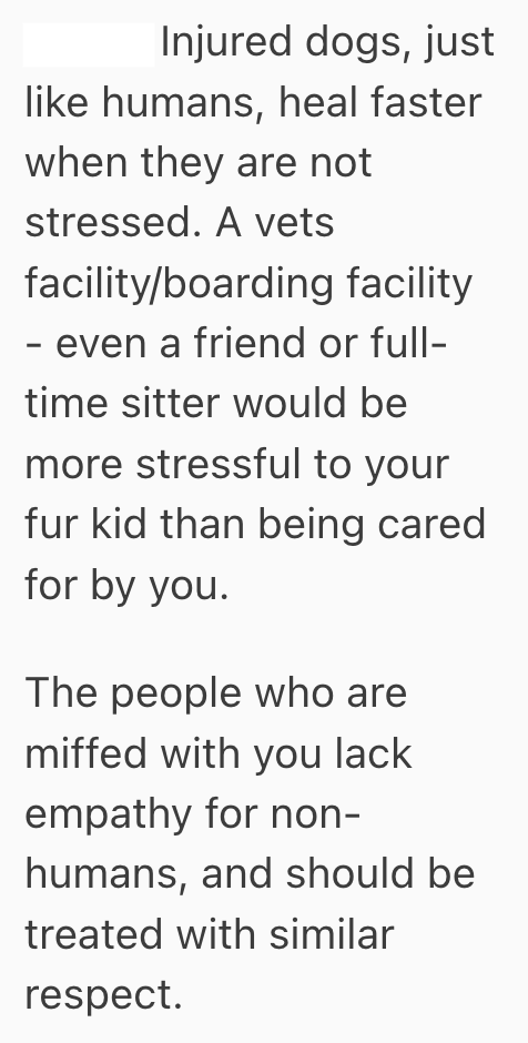 Screenshot 2025 08 21 at 10.11.37 PM Doting Pet Owners Dog Got Hit By A Bike Days Before His Brother’s Wedding, But When He Skipped The Ceremony, His Whole Family Caused A Fuss