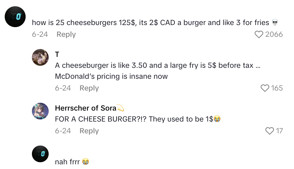 Screenshot 2025 08 25 at 1.47.00 PM A TikTokker Ordered 25 Cheeseburgers From McDonalds And It Cost $121