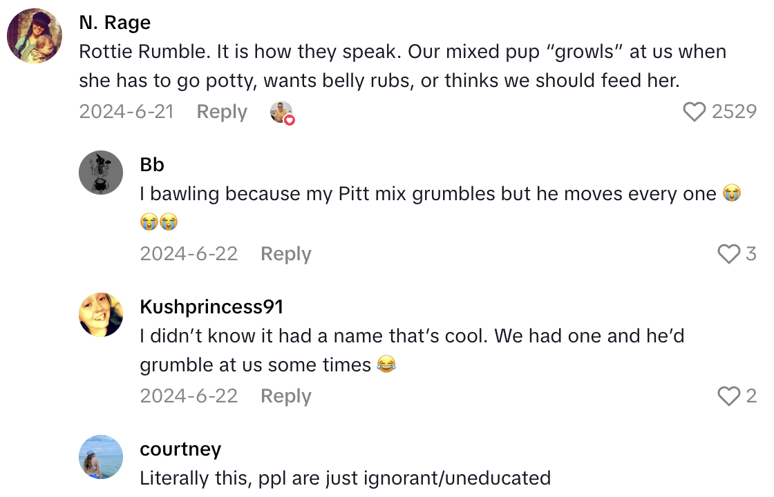 Screenshot 2025 08 25 at 8.24.55 AM A TikTokker Said His Landlord Is Trying To Evict Him Because Of His Dog