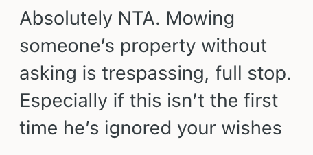 Screenshot 2025 08 26 at 2.23.51 PM Her Neighbor Mowed Her Lawn Without Asking, So She Yelled At Him For Trespassing