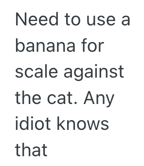 Screenshot 2025 08 28 at 12.24.57 PM Hardware Employee Told A Customer He Needed To Measure His Windows, But The Customer Had A Very Unusual Unit Of Measure