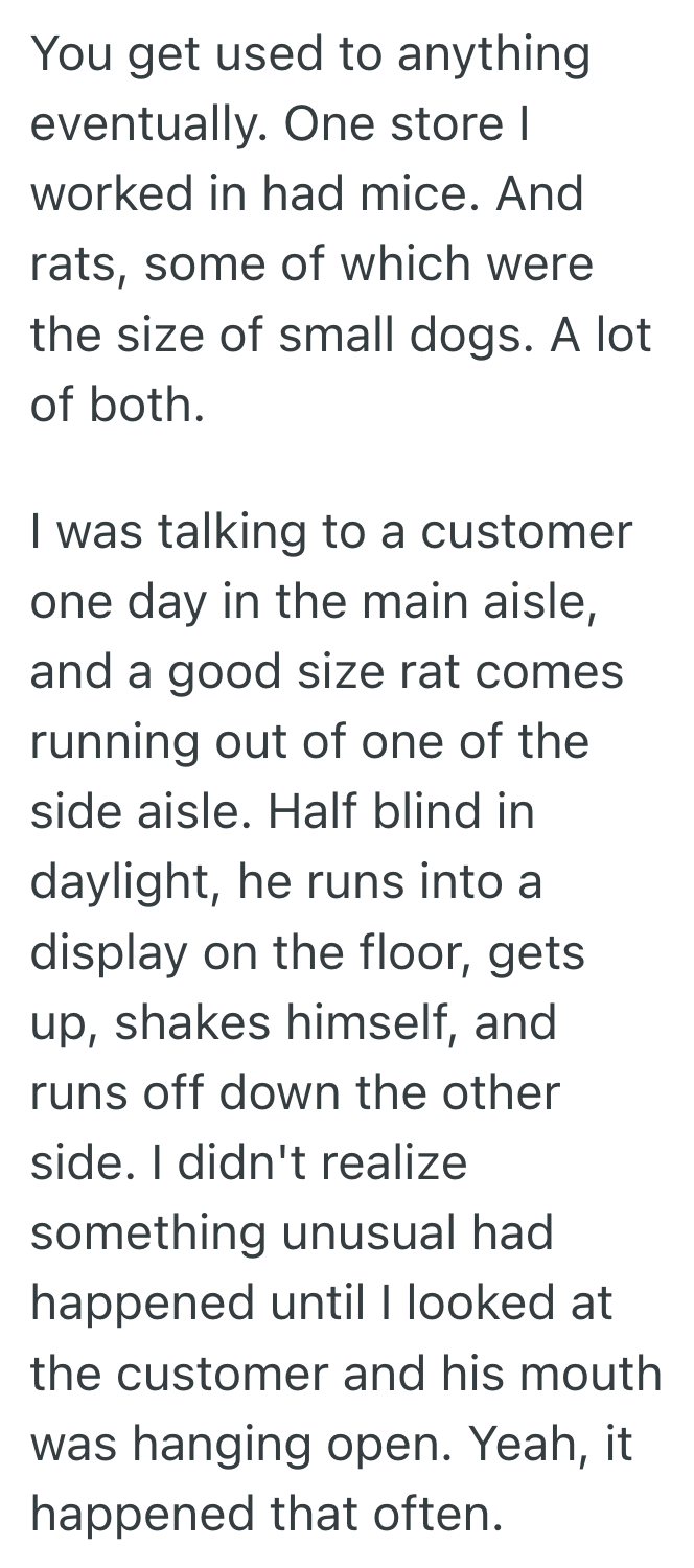 Screenshot 2025 08 29 at 5.37.39 PM A Hidden Mouse Popped Out At The Worst Moment, So A Customer Got A Free Comedy Show