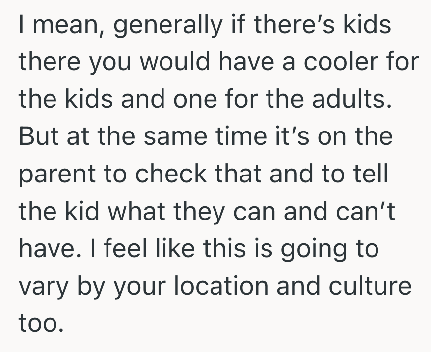 Screenshot 2025 08 29 at 8.12.39 AM Her Guests Son Took An Adult Beverage From The Cooler And She Blamed Her For It, So She Defended Herself And Then They Left