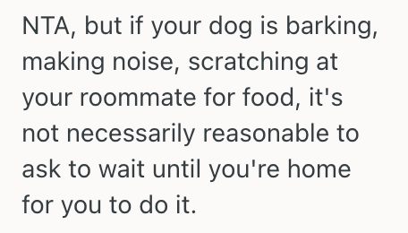 Screenshot 2025 08 31 at 11.20.45 AM His Roommate Kept Feeding His Dog Without Being Asked, So Now He Feels Like Hes Losing A Special Bonding Moment With His Pet