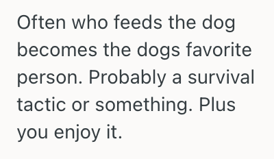 Screenshot 2025 08 31 at 11.21.13 AM His Roommate Kept Feeding His Dog Without Being Asked, So Now He Feels Like Hes Losing A Special Bonding Moment With His Pet
