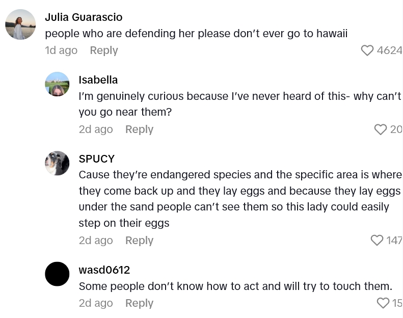 Screenshot 4 63b646 Women Passes By All The Barricades Between Her And Protected Sea Turtles In Perfect Example Of What Not To Do On Vacation