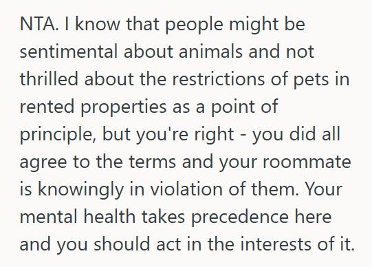 Snakes And Spiders 2 Her Boyfriend’s Roommate Hid Snakes And A Tarantula In Their No Pets Apartment, So Now She Wants To Move Out And Tell Her Therapist Why