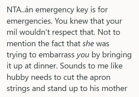 Spare Key 3 She Gave Her Snooping Mother In Law A Fake Key To Their New House, But When She Tried Sneaking In And Got Caught At Christmas Dinner, Her Husband Accused Her Of Ruining Everything