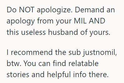 Spare Key She Gave Her Snooping Mother In Law A Fake Key To Their New House, But When She Tried Sneaking In And Got Caught At Christmas Dinner, Her Husband Accused Her Of Ruining Everything
