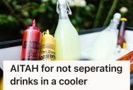 Her Guest’s Son Took An Adult Beverage From The Cooler And She Blamed Her For It, So She Defended Herself And Then They Left