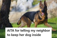 Neighbor’s German Shepherd Jumped On Her While She Held Her Baby, But The Owner Still Defended The Invisible Fence