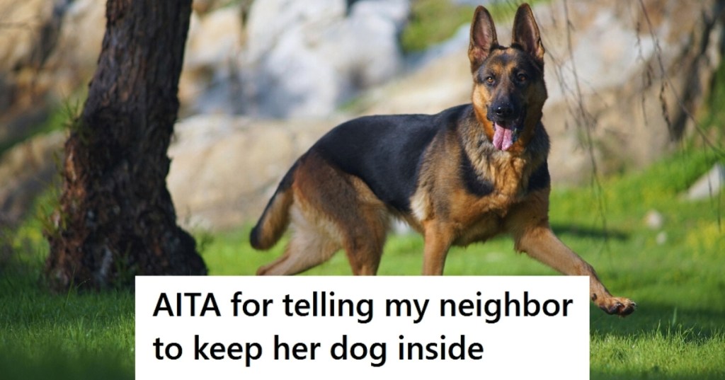 German Shepherd outside on grass