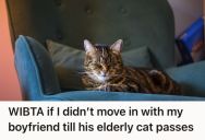 Woman Wanted To Buy A Home And Live With Her Boyfriend, But Now She’s Thinking Twice Because Of His Cat
