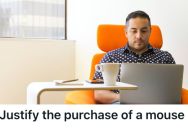 Employee Requested A Computer Mouse To Make His Job More Efficient, But The CFO Required A Formal Letter To Justify The Expense