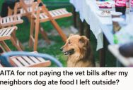 Woman Left Food Out After A Family Gathering, So She Got Blamed When A Neighbor’s Dog Ate It And Got Sick