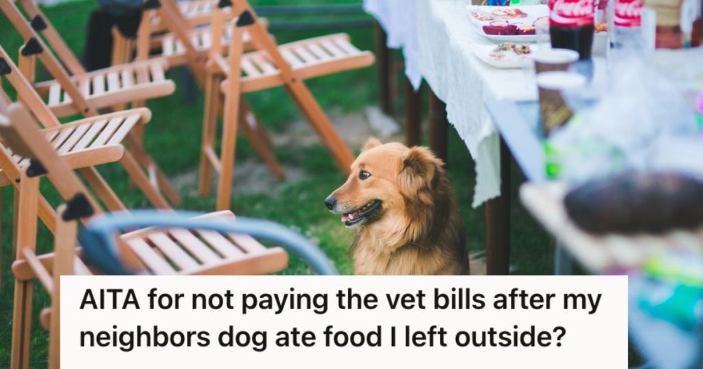 Food on an outdoor table with a dog waiting